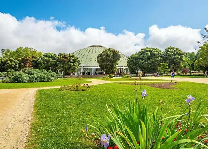 Alegria 283 * بورتو