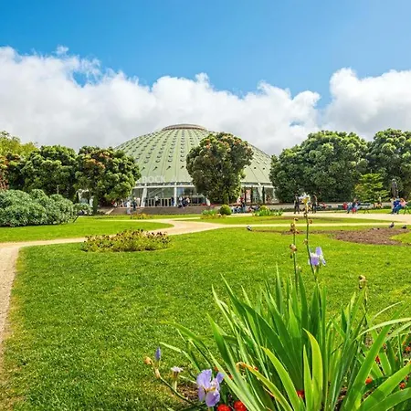 公寓 Alegria 283 *